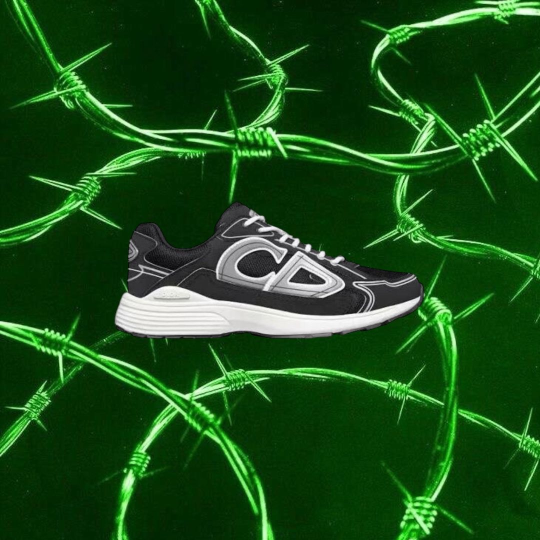 DIOR B30