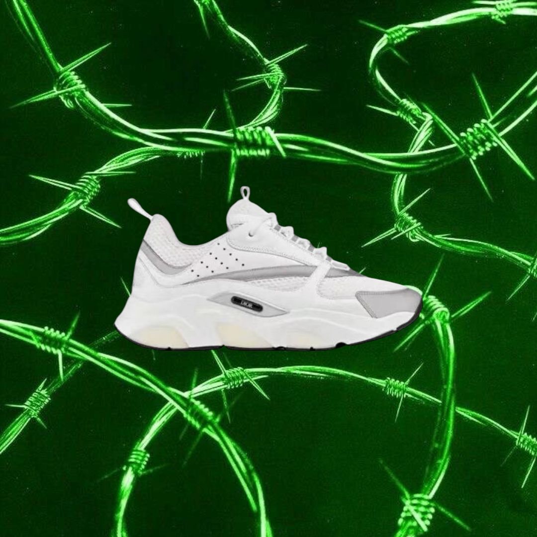 dior b22