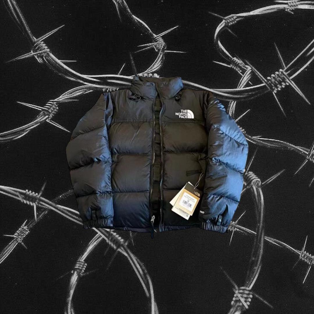 the north face jacket