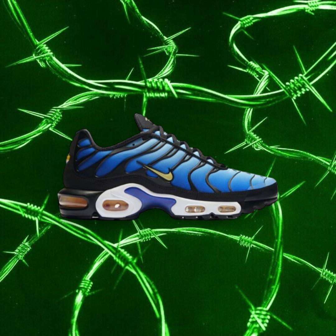 NIKE AIR MAX PLUS TN blue/silver