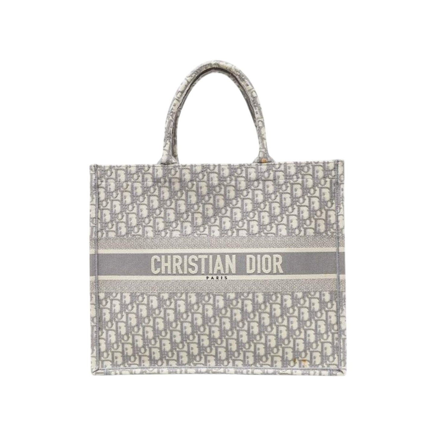christian dior bag