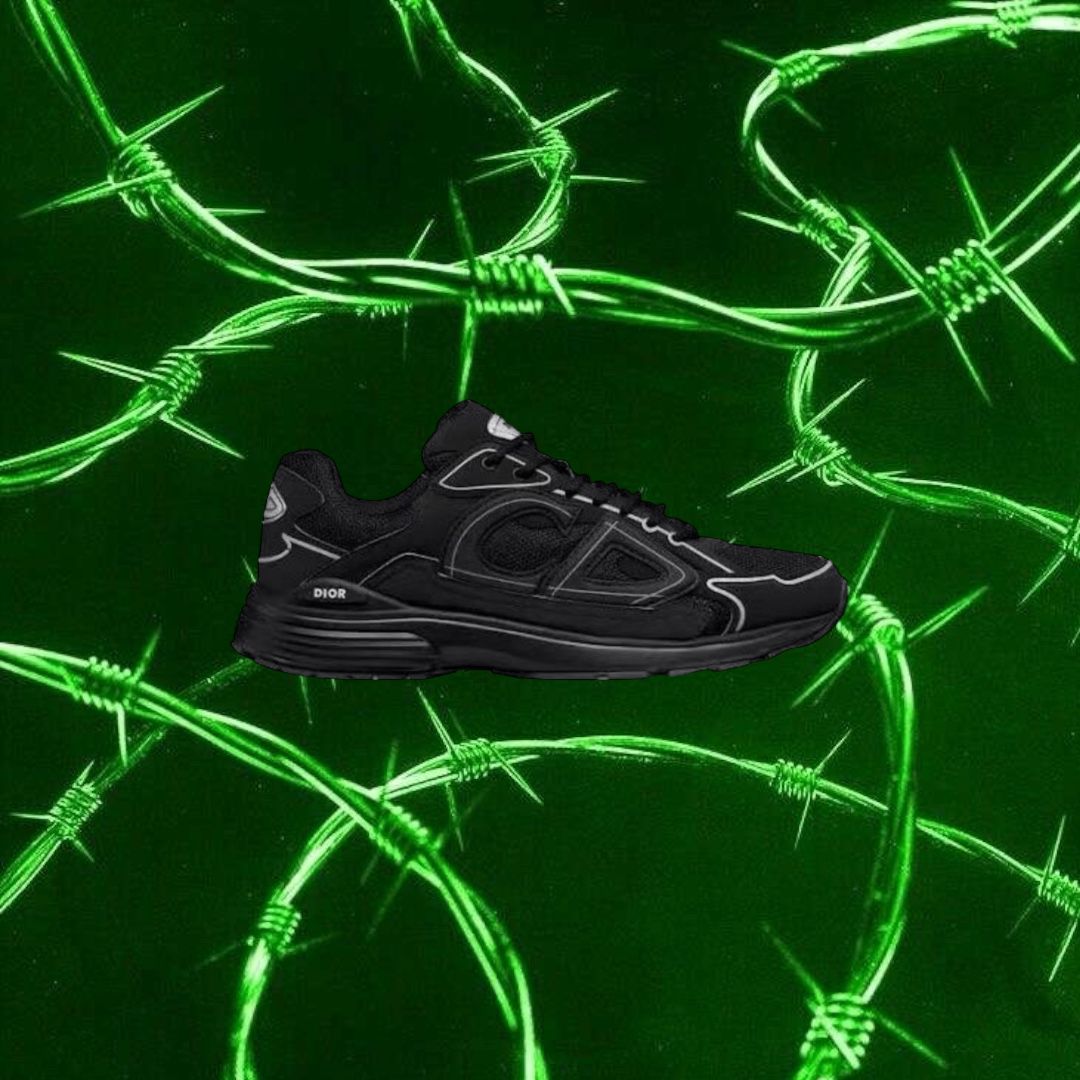DIOR B30