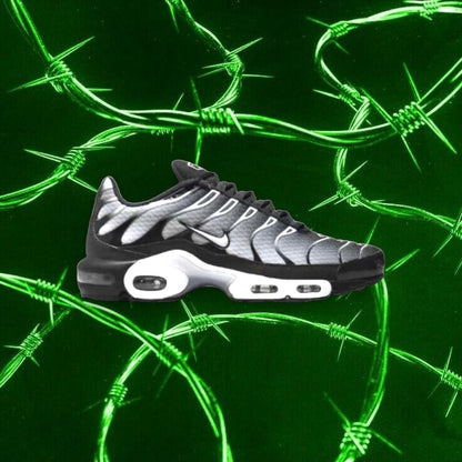 Nike Air Max Plus TN 'Black Silver White'