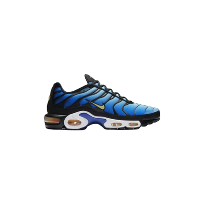 NIKE AIR MAX PLUS TN blue/silver