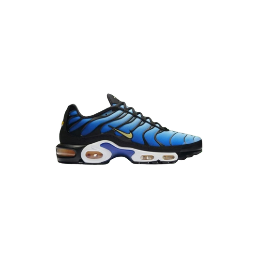 NIKE AIR MAX PLUS TN blue/silver