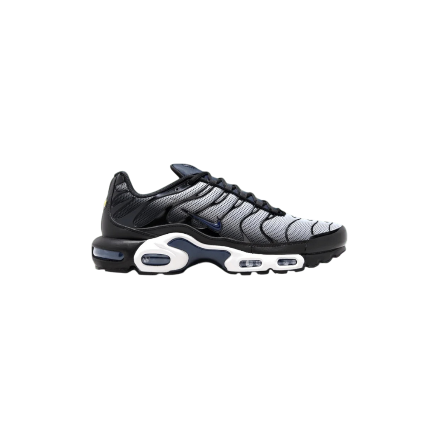 Nike Air Max Plus Midnight Navy