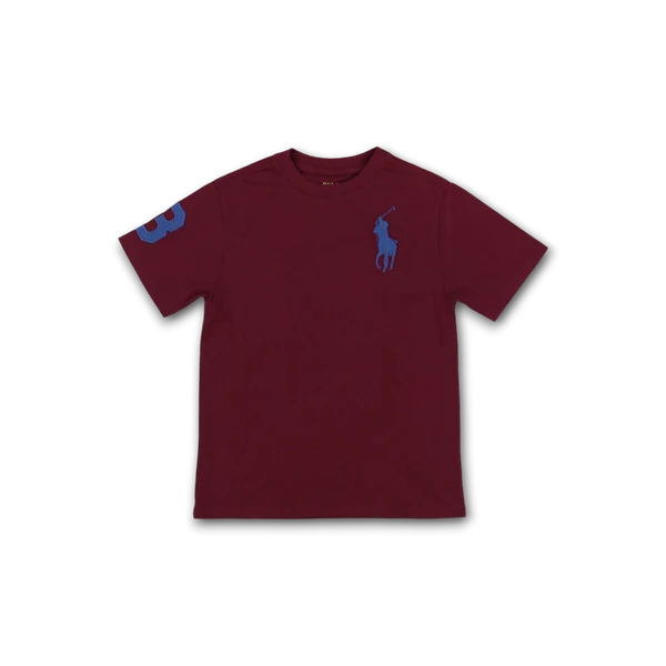 Big Pony Cotton Jersey T-Shirt