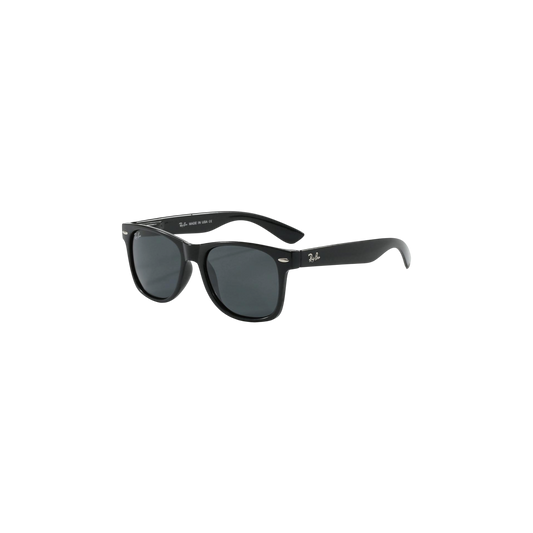 Ray-Ban Glasses
