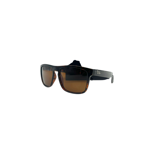 ray-ban Glasses