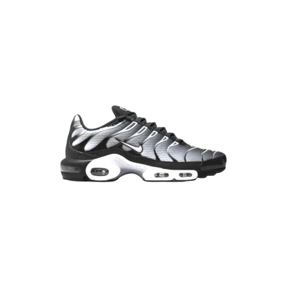 Nike Air Max Plus TN 'Black Silver White'