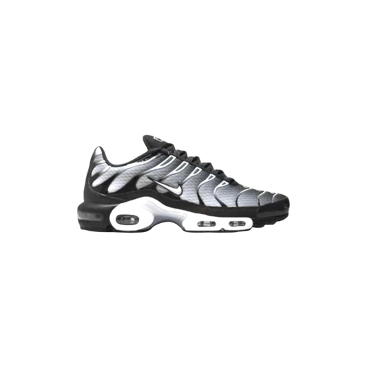 Nike Air Max Plus TN 'Black Silver White'